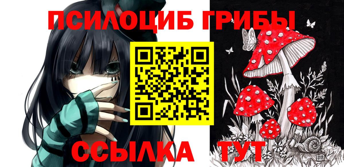 где купить наркотик  Вход с VPN  Орёл  Псилоцибиновые грибы мухоморы 