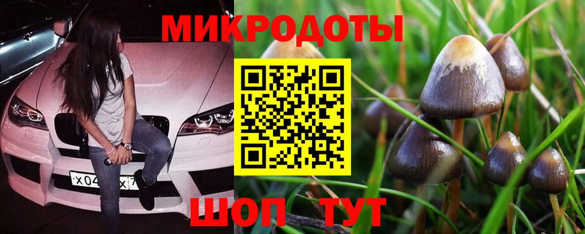 Галлюциногенные грибы Cubensis Орёл