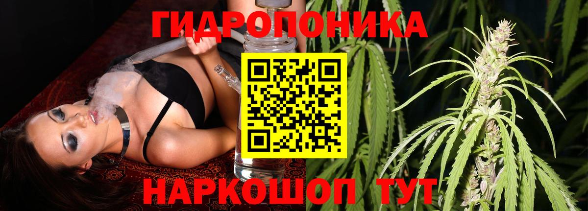 Шишки марихуана планчик  Марихуана тримм  Вход с VPN  Орёл  Марихуана планчик 